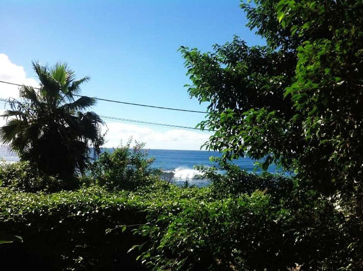 Charming 2Br Guest Suite With Ocean View Praia Esterno foto